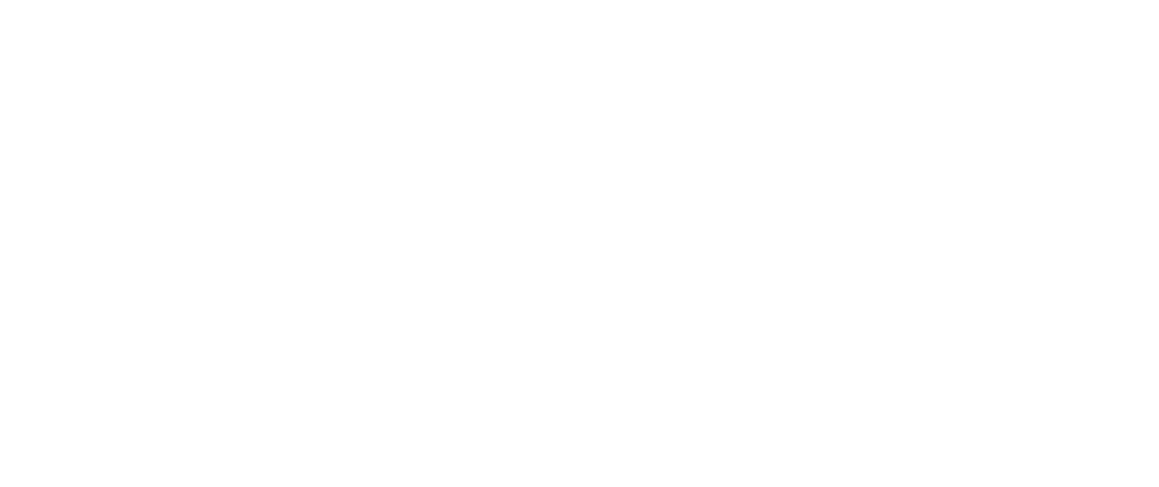 Core29